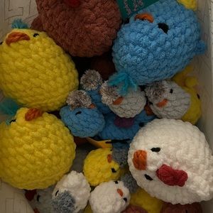 Meet your Posher, Katlyn